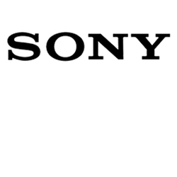 Sony game accu