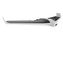 Parrot Disco